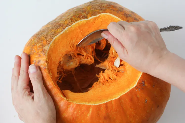 idées comment réutiliser restes citrouille Halloween anti gaspillage alimentaire zéro déchet