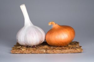 quand planter ail et oignon automne