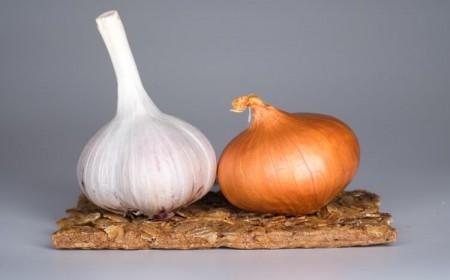 quand planter ail et oignon automne