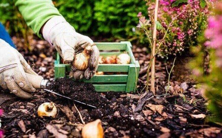 que faire au jardin en octobre