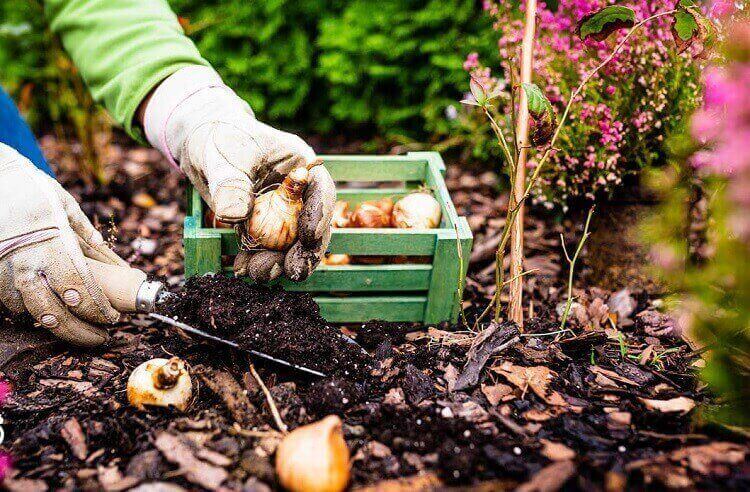 que faire au jardin en octobre