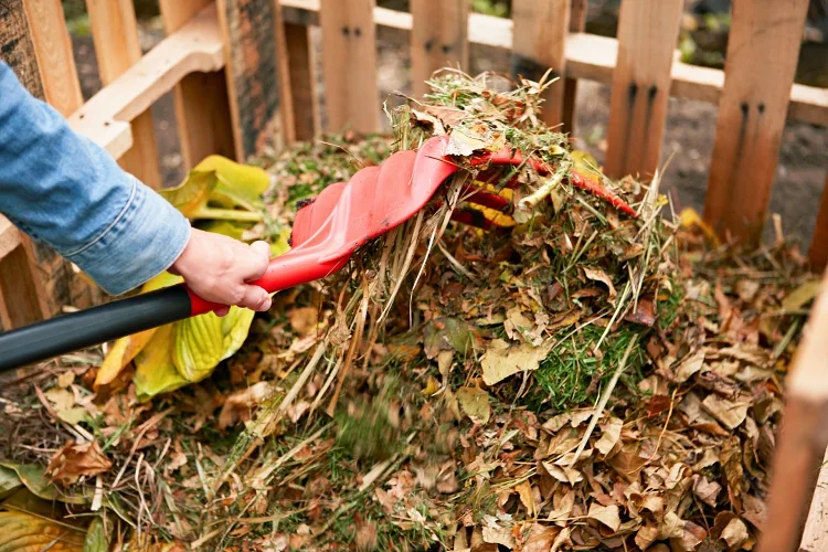 quelles feuilles-composter-jardin-compost-recycler-ecolo-feuillesdefiguier-terreau