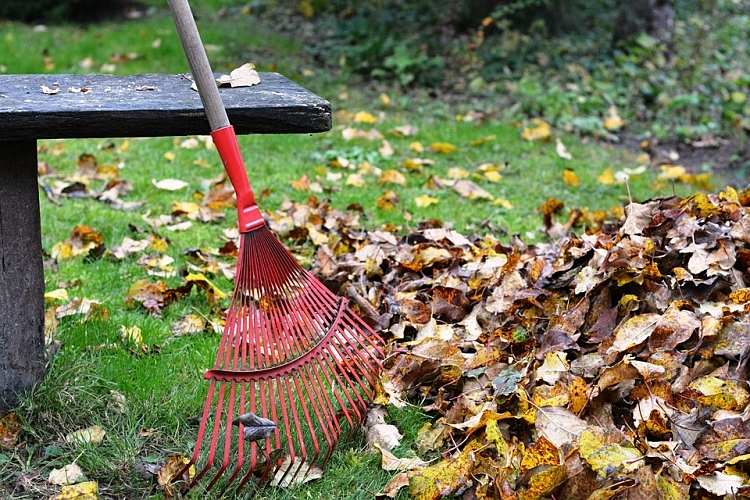 quelles feuilles sont bonnes pour le composte recyclage vert