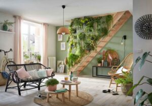 top 5 plante suspendue d'intérieur 2022