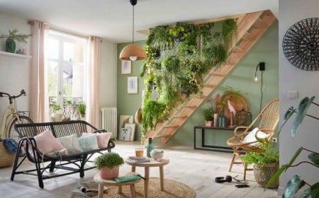top 5 plante suspendue d'intérieur 2022