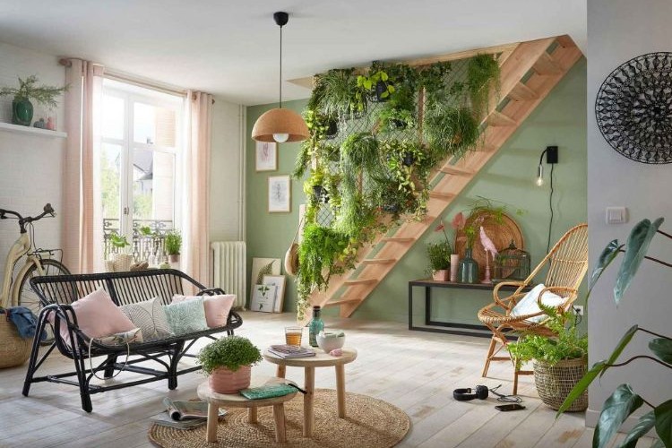 top 5 plante suspendue d'intérieur 2022