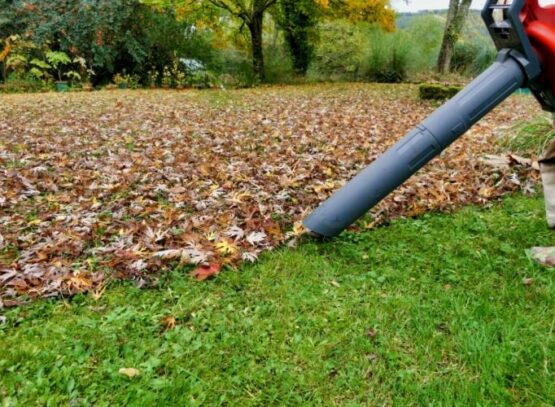aspirateur broyeur de feuilles objectif nettoyer jardin ajouter compost enrichir sol
