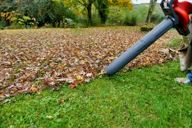 aspirateur broyeur de feuilles objectif nettoyer jardin ajouter compost enrichir sol