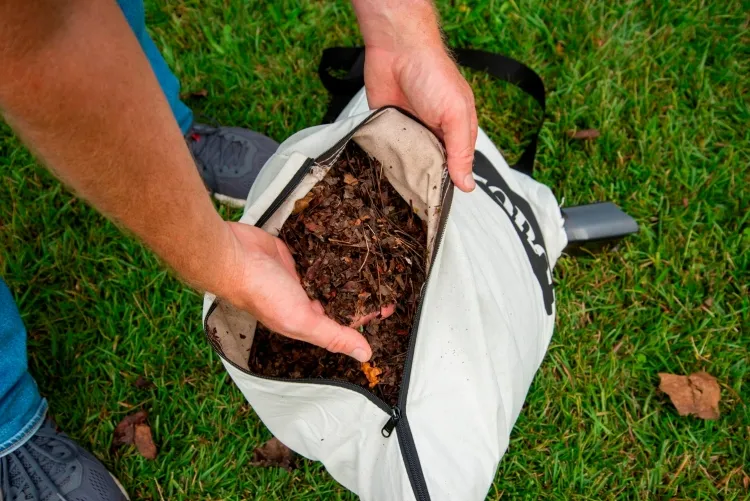 aspirateur ou souffleur de feuilles avantages sac collecte déchets aspirés