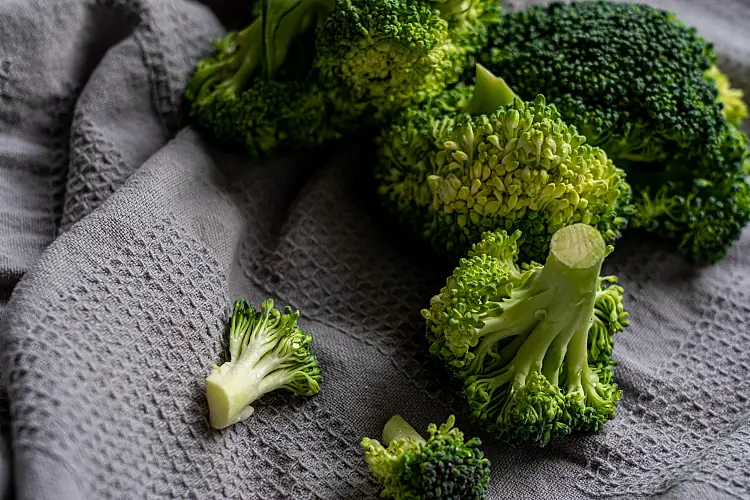 brocoli légume vert aliments teneur en sucre santé bien-être nutrition conseils