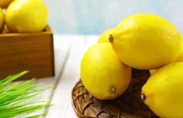 comment conserver le citron sans frigo utiliser température ambiante frigo congélateur règles