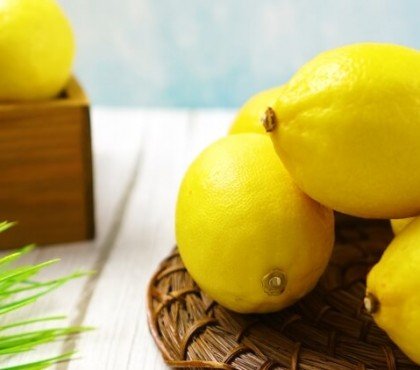 comment conserver le citron sans frigo utiliser température ambiante frigo congélateur règles