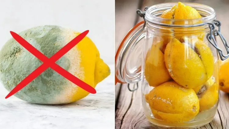 comment conserver les citrons quelle température adéquate mettre comptoir plan travail
