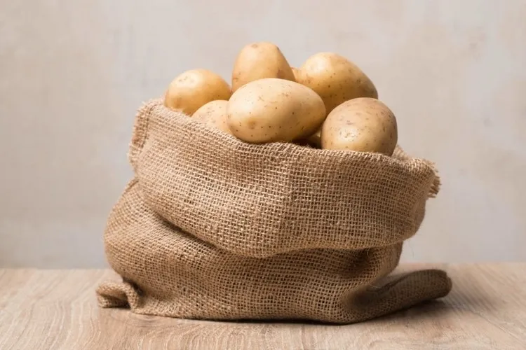 comment conserver les pommes de terre dans un appartement endroit frais sec à l'abri de la lumière