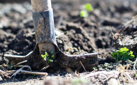 comment décompacter une terre argileuse simplement et facilement