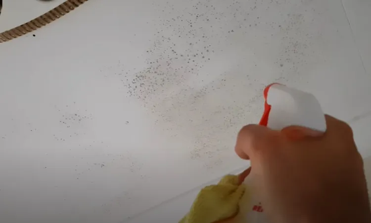 comment enlever moisissure mur plafond quels produits nettoyer prévenir retour