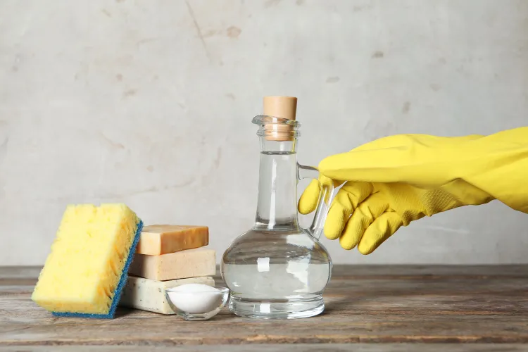 comment enlever moisissure sur murs quels produits nettoyer prévenir retour