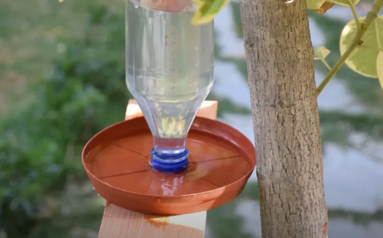 comment fabriquer un abreuvoir pour oiseaux partir bouteille plastique tuto photos