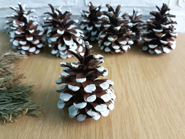 comment faire ouvrir des pommes de pin apprécier cônes décoration festive