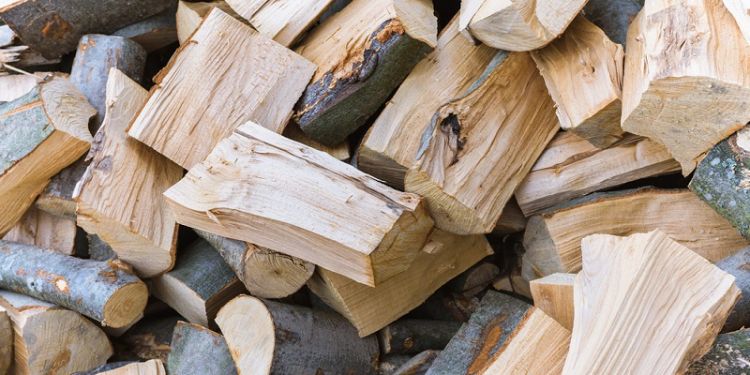 comment faire sécher le bois de chauffage hiver 2022