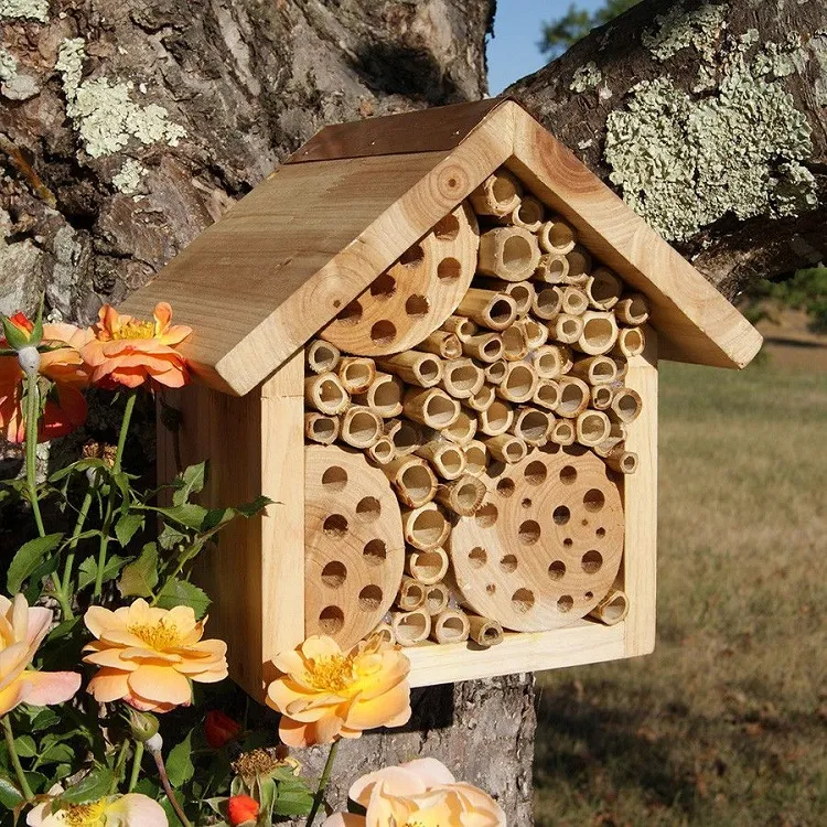comment hiverner les abeilles fabriquer nichoir abeilles solitaires arbre jardin