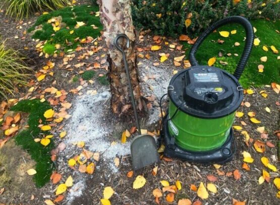 comment utiliser la cendre comme engrais pour les arbres