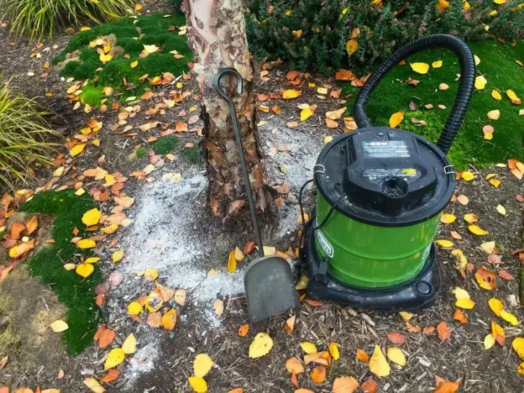 comment utiliser la cendre comme engrais pour les arbres