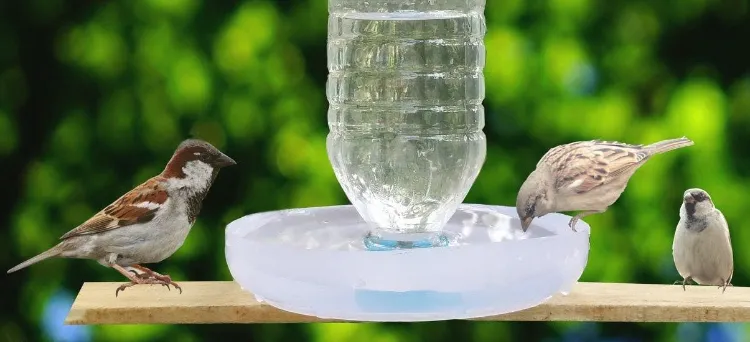 fabriquer un abreuvoir pour oiseaux bouteilles plastiques étapes photos