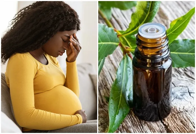 feuille de laurier effet secondaire huile essentielle contre indications santé femme enceinte enfant
