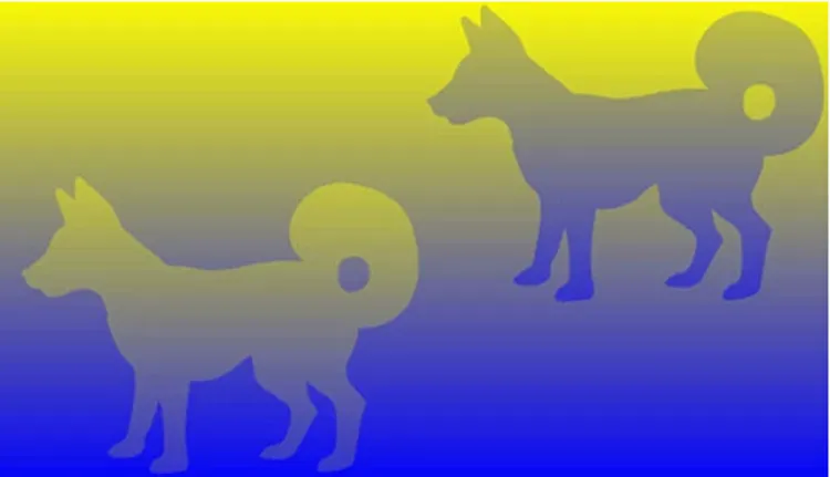 illusion d'optique couleur explication chien multicolore casse tete visuel