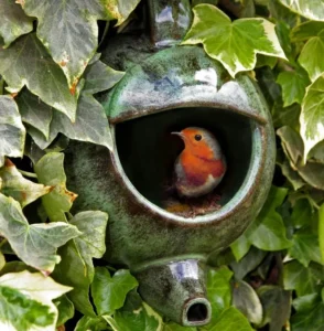 où placer un nichoir pour rouge gorge bons gestes règles à respecter conseils installation abri oiseaux