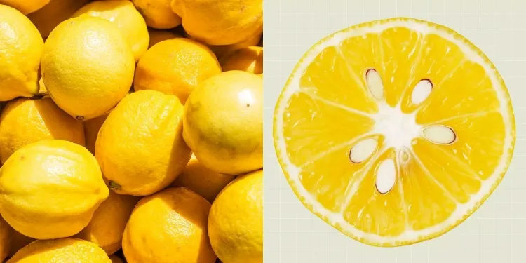 où se conservent les citrons faire eau citronnée citronnade jus citron zestes