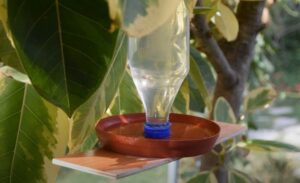 photo tuto comment fabriquer un abreuvoir pour oiseaux partir bouteille plastique