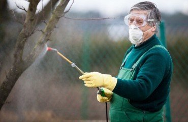 quand et comment utiliser la bouillie bordelaise sur les arbres fruitiers