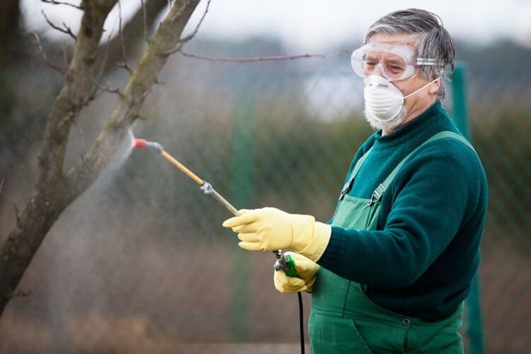 quand et comment utiliser la bouillie bordelaise sur les arbres fruitiers