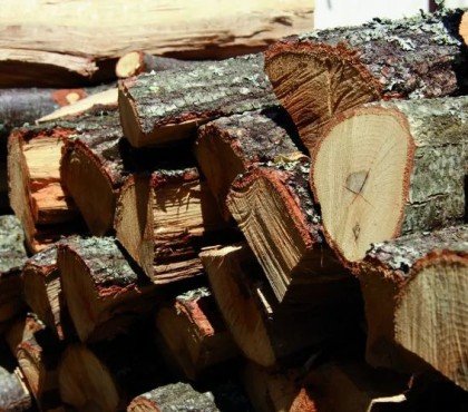 quelles conditions pour bien stocker-le bois de chauffage hiver 2022 comment faire sécher