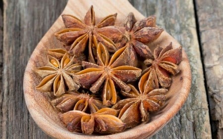 quels sont les bienfaits de l'anis étoilé santé 2022