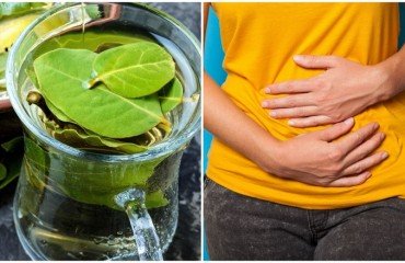 quels sont les effets secondaires des feuilles de laurier noble santé tisane huile essentielle