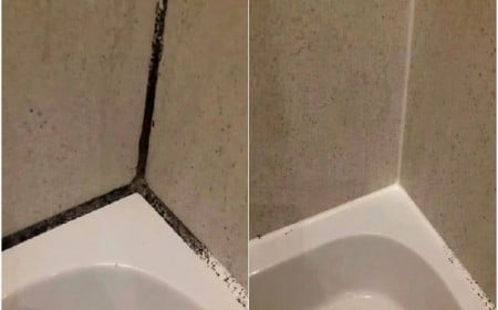 Comment enlever la moisissure noire dans la salle de bain