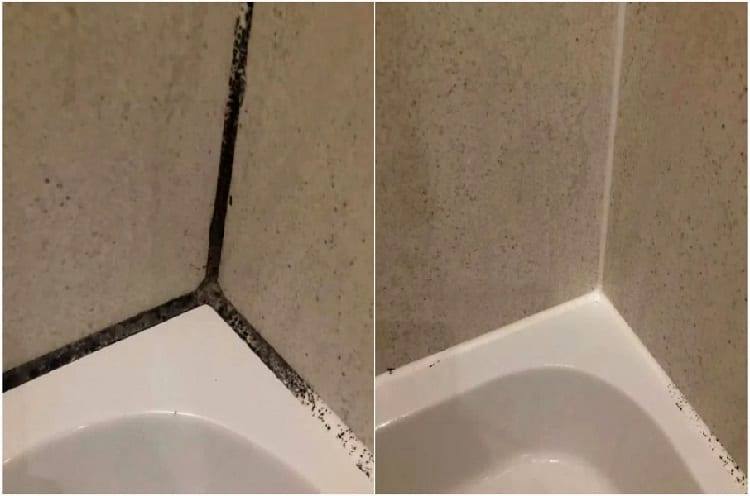 Comment enlever la moisissure noire dans la salle de bain