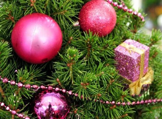 aiguilles de sapin qui tombent Noël 2022