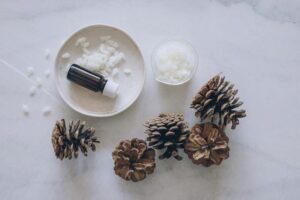 allume feu cheminée faire soi meme pommes de pin cire huile essentielle tutoriel