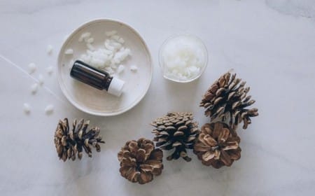 allume feu cheminée faire soi meme pommes de pin cire huile essentielle tutoriel