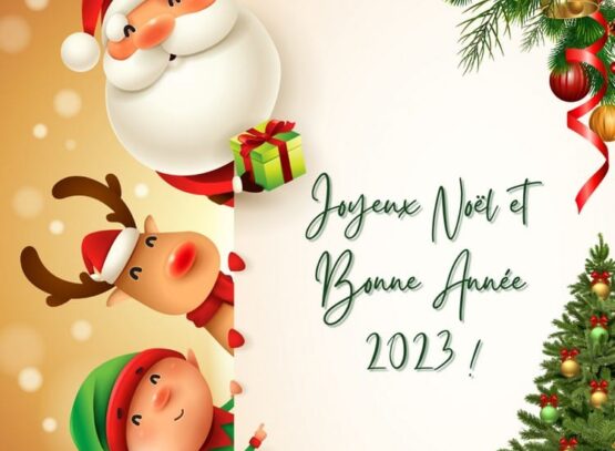 carte voeux de noël humoristique 2022 Nouvel An 2023