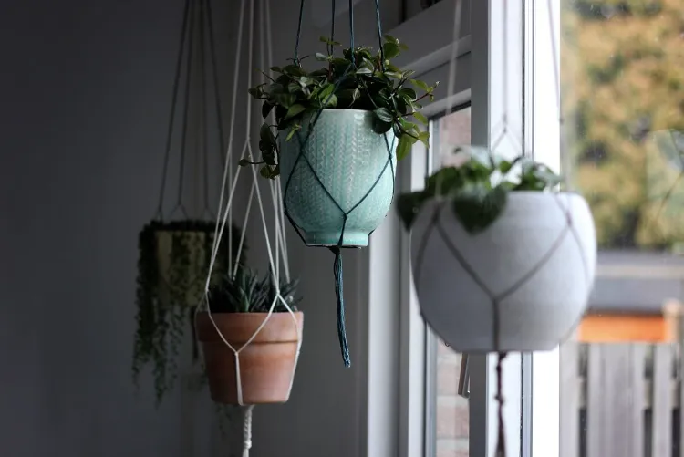 comment accrocher des plantes suspendues sans percer plafond murs macramé
