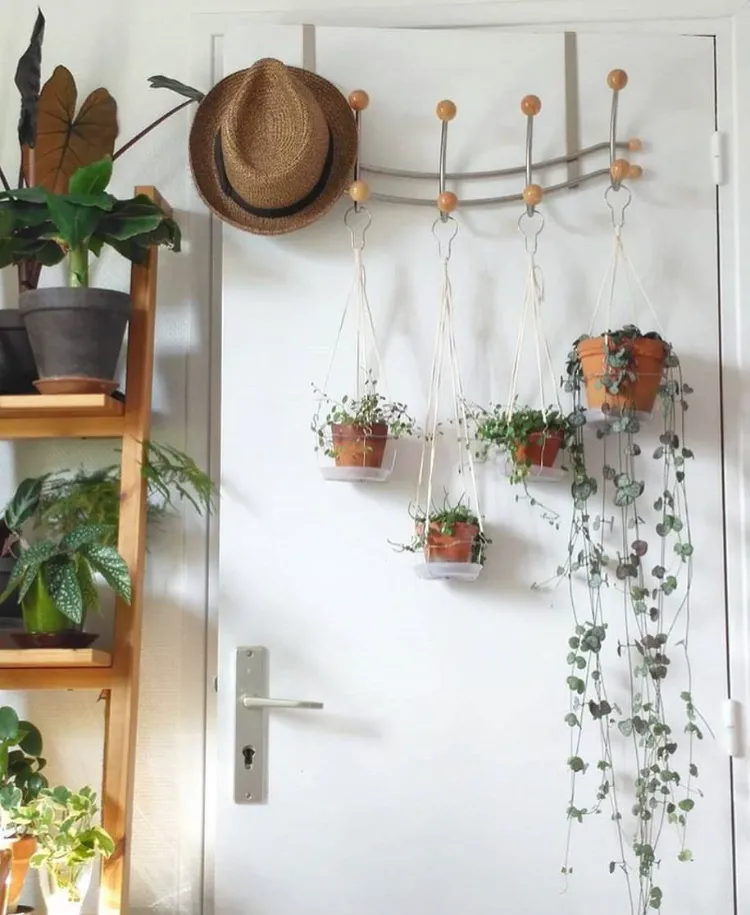 comment accrocher plantes suspendues sans percer plafond nimur crochet dessus porte
