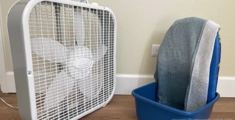comment augmenter humidité maison astuces parer problèmes respiratoires air sec maison