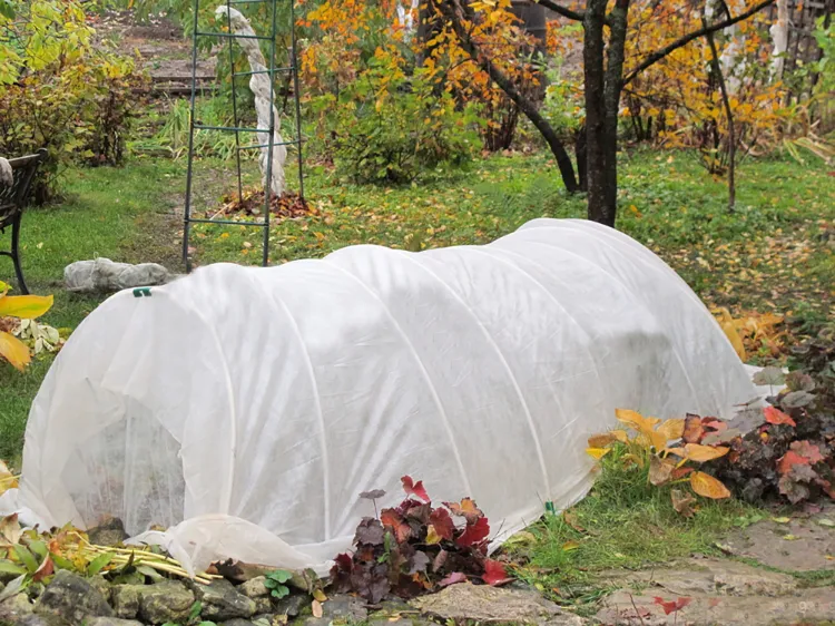 comment bien mettre un voile d'hivernage