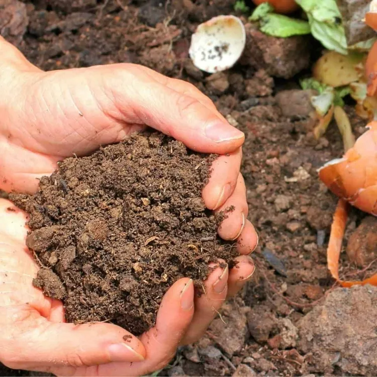 comment conserver le compost l'hiver résultat composteur bokashi activateur