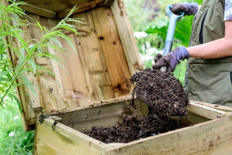 comment faire du compost en hiver transformer déchets compost nutritionnel plantes